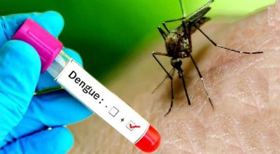 Chitwan records two dengue and six scrub typhus cases this month