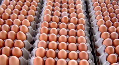 Egg prices rise in Nepali market