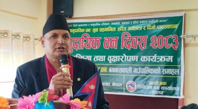 Palpa District Administration intensifies market monitoring