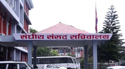 Nine Federal Parliament Committees scheduled to meet today