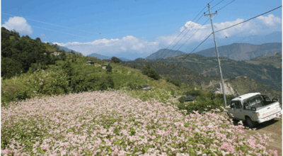 Power extension of National Transmission Line at Panthok and Jugja