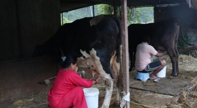 Migrant worker returns from Saudi Arabia to build successful dairy farm