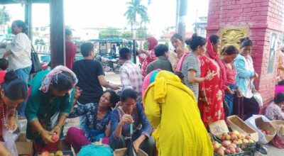Karnali apples become popular choice for Teej gifts