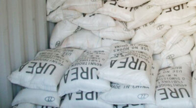 Krishi Samagri Company calls for bids to import 30,000 tonnes of urea