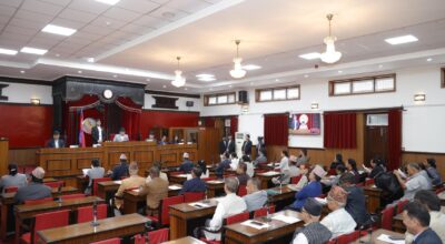 NA passes condolence motion on former MP Basnet’s demise