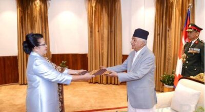 Ambassadors present letters of credence