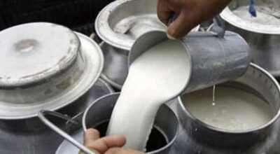 Farmers struggle with low milk prices as consumers pay more