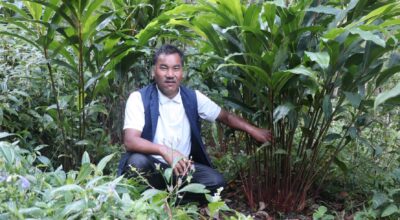 Cardamom cultivation test successful in Beni