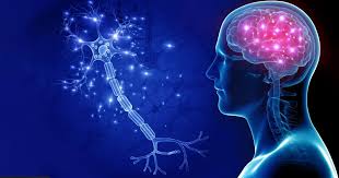 World Stroke Day: Over 50,000 people suffer from stroke in Nepal annually