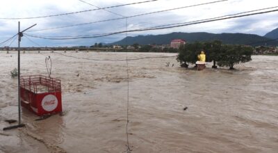 Narayani flood damages 1.15 km of embankment in Chitwan