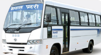 3,585 benefited from Nepal Police, APF free bus services during Dashain